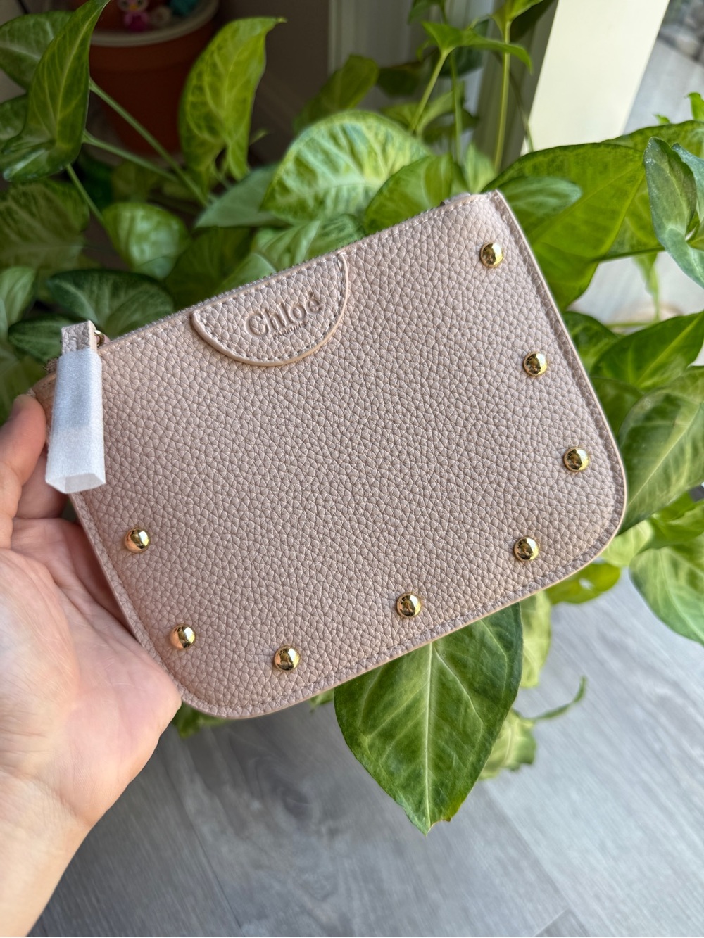 Chloé Flat Clutch Pouch – New with Box